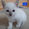 Lädt...